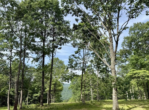 Lot 4 Hobbstown Road, Dunlap, TN 37327