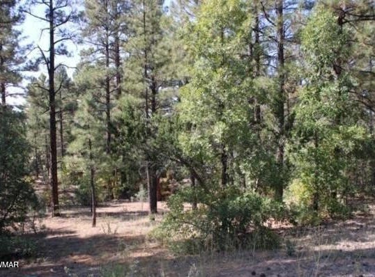 1160 S Cherokee Drive, Show Low, AZ 85901