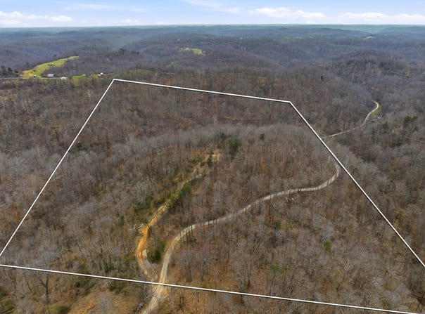 Dunfee Road, Lesage, WV 25537
