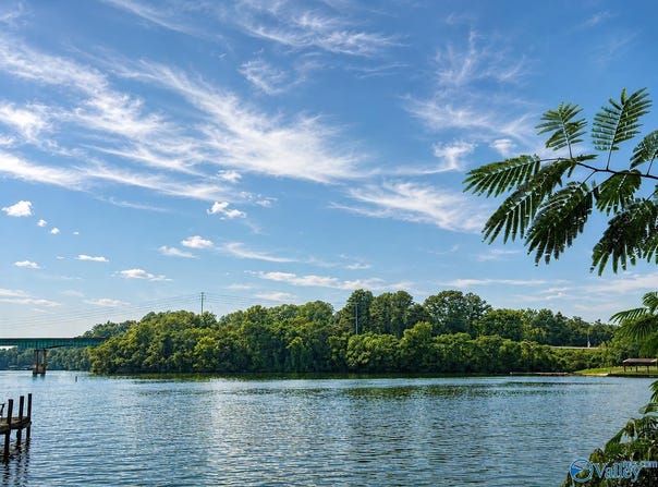Tract A & B River Pointe Drive, Cedar Bluff, AL 35959