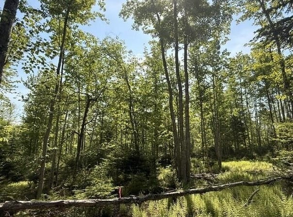 Lot #16 Sunset Cove Way, Orland, ME 04472