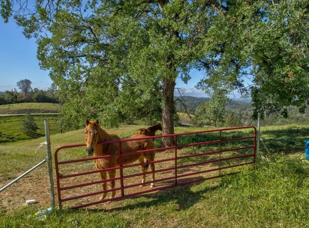 Trembath Mountain Road, Fiddletown, CA 95629