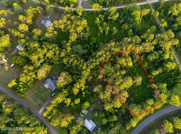 172 Whispering Pines Road, Georgetown, FL 32139