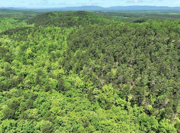 TBD (Lot 1) Heather Lane, Mena, AR 71953