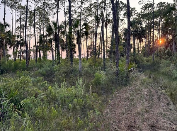 2375 SR 30-A, Port St. Joe, FL 32456