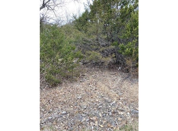 48 Deer Run  DR, Holiday Island, AR 72631