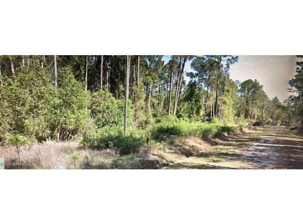 216 2ND Street, Georgetown, FL 32139