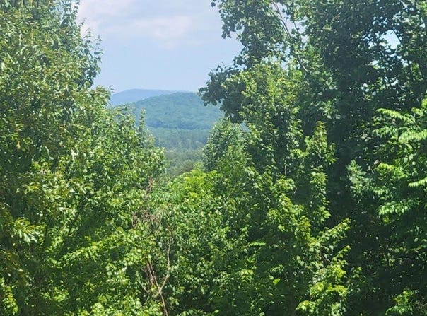 24 Mountain Knoll Lane, Warne, NC 28909