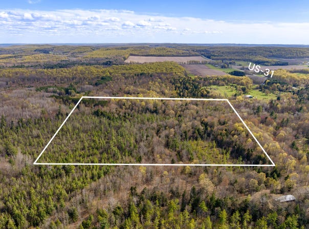 00 BENZIE HIGHWAY, BENZONIA, MI 49616