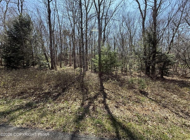 G556 Drakes Drive, Jim Thorpe, PA 18229
