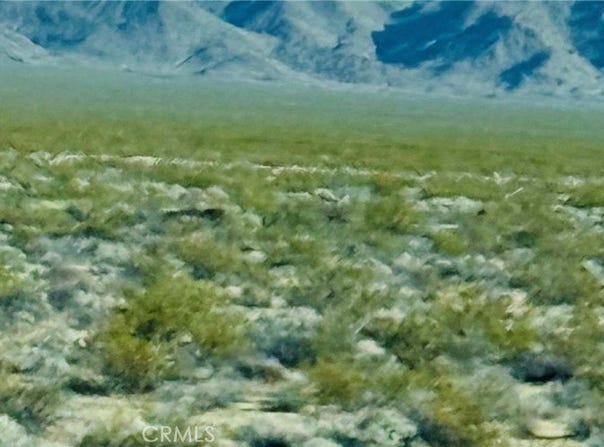 Sunflower Springs, Essex, CA 92332