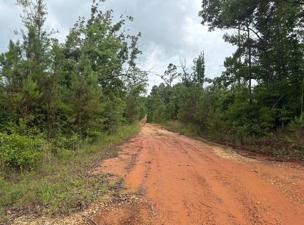 000 Pearce Chapel Road, Smithville, MS 38870