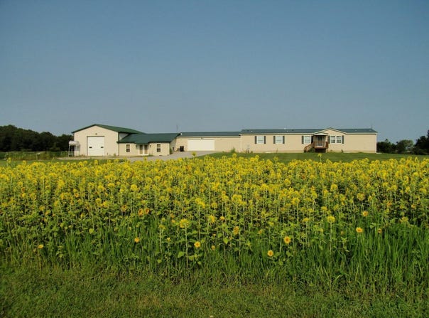7402 S 800 E, Hamilton, IN 46742