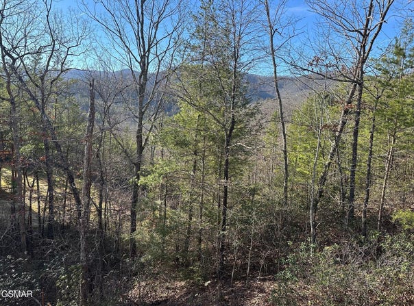 1306 Morning Dove Way, Sevierville, TN 37862
