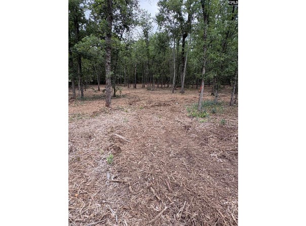 Lot 2 Quattlebaum Drive, Leesville, SC 29072