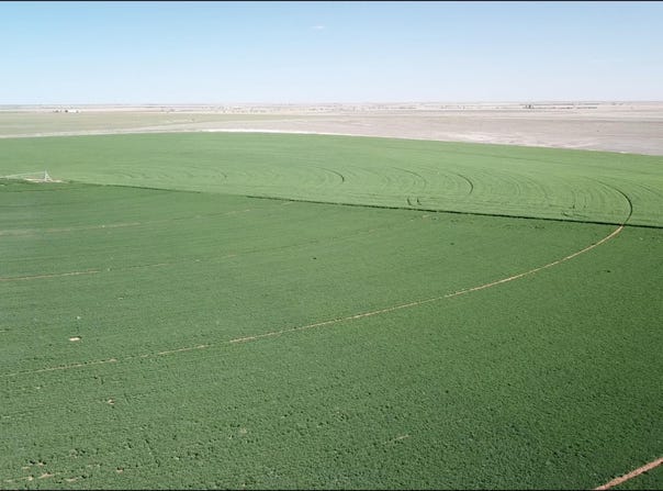 2675 S Roosevelt Road 3, Portales, NM 88130