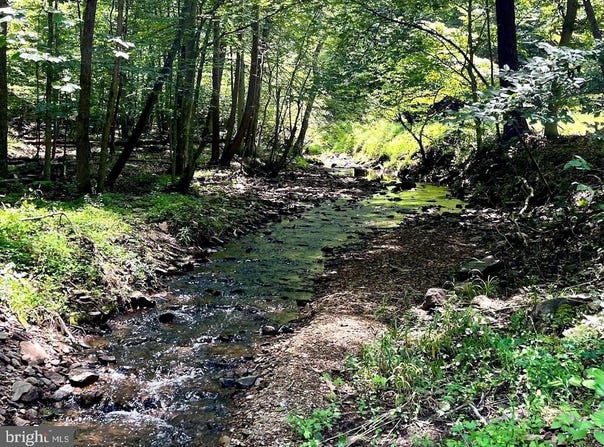 PIONEER Lane, BOYCE, VA 22620