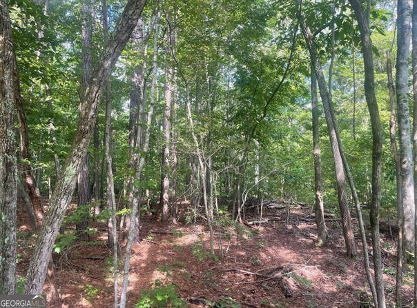 0 Young, Franklin, GA 30217
