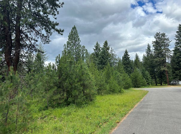 NHN Sapphire Lane lot: 13, Trout Creek, MT 59874