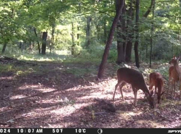 28639 M-40, Paw Paw, MI 49079