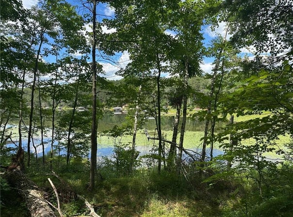 Tbd White Pine Lane, Motley, MN 56466