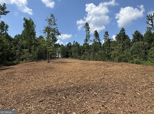Lot 4 Happy Hollow, Roopville, GA 30170