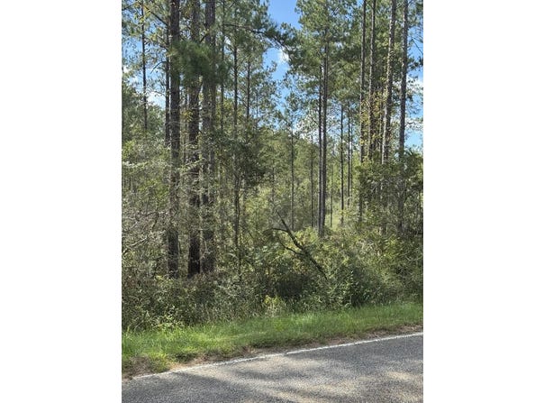 00 Lot E Progress Silver Run Road, Poplarville, MS 39470