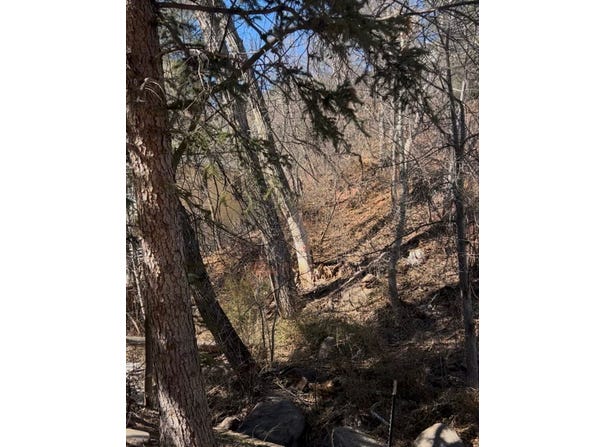 TBD Ruxton Avenue, Manitou Springs, CO 80829
