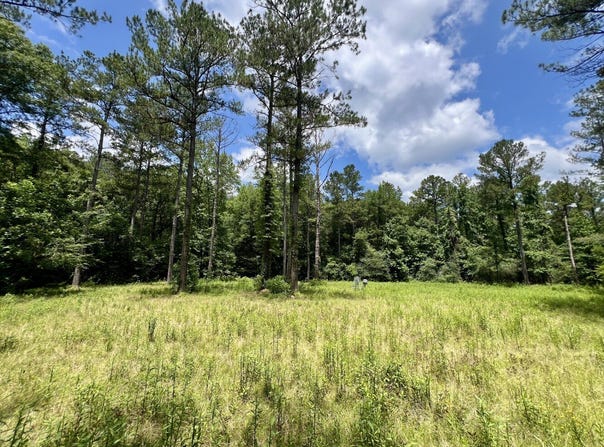 0 County Road 42, Tunnel Springs, AL 36471