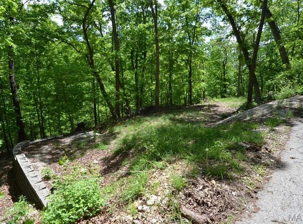 1730 Chimney Top Farms Rd Road, Eureka, MO 63038