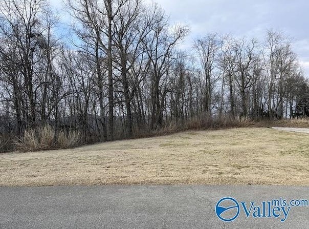 151 Ledge View Drive, Huntsville, AL 35802