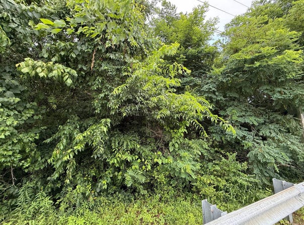 0 s main St, Danville, VA 24541