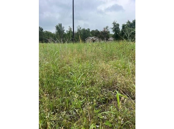 Lot 442 E Pauwela LN, Bastrop, TX 78602