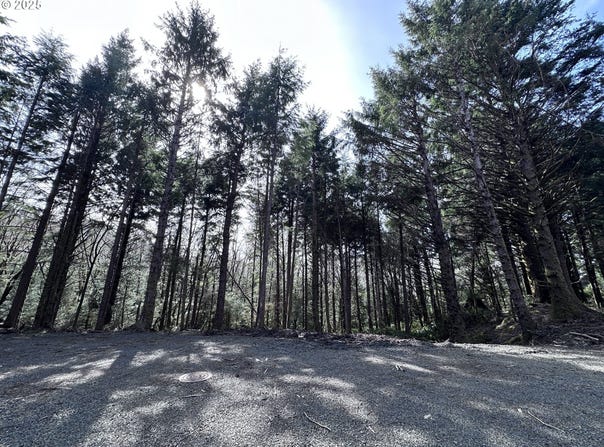 Greenleaf Road, ArchCape, OR 97102