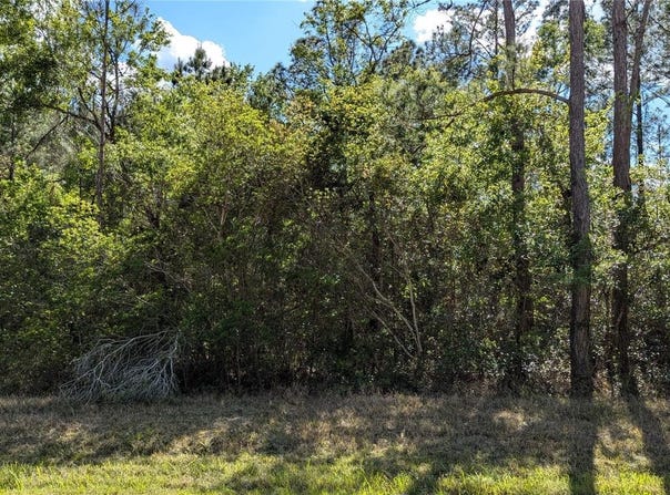 00 NE 108TH PLACE, WALDO, FL 32694