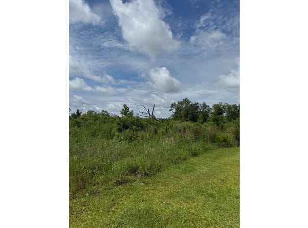 Wright Road, Naylor, GA 31641