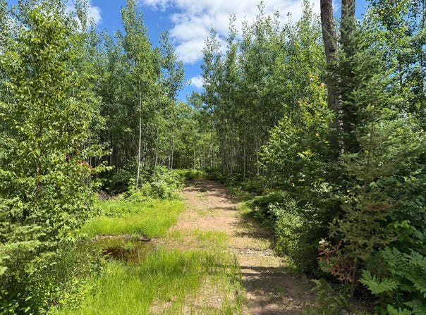 Lot 4 GRUNDY RD, WI 54487