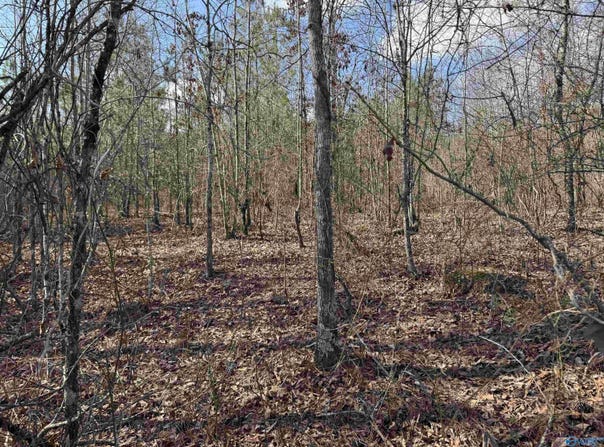 4 & 5 Estes Road, Piedmont, AL 36272