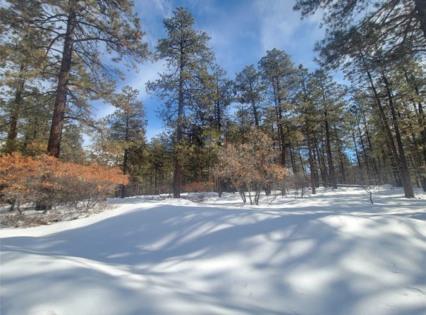 R-19S R-19N Serenity, Chama, NM 87520