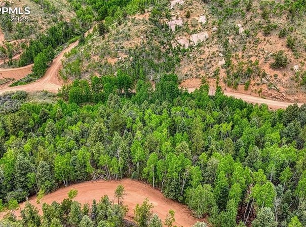 1034 Little Topsey Drive, Cripple Creek, CO 80813
