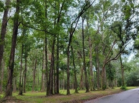 MILTON CRADDOCK Road lot: 0, Pearl River, LA 70452