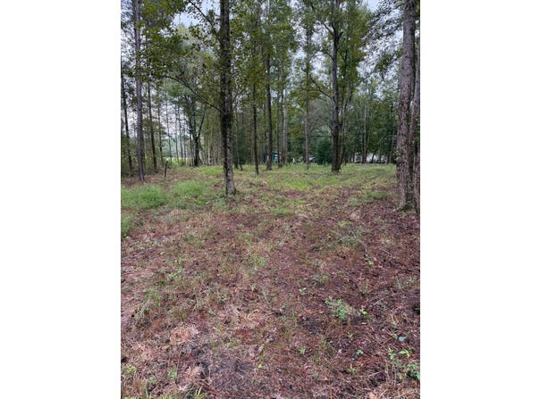 203 Fulton Lane, Ridgeland, SC 29936
