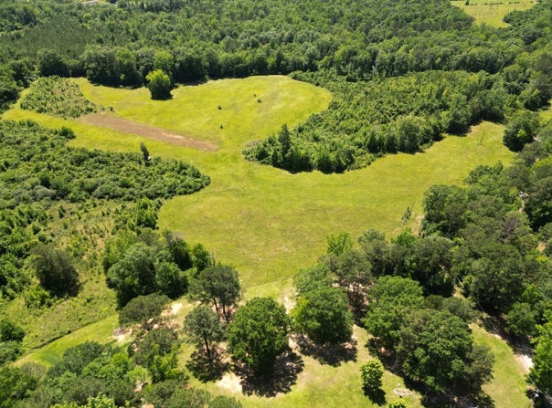 00 Berry Rd, Valley Grande, AL 36701