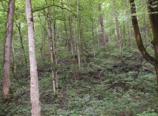 0 DB 702 DP 418 Midas Road, Hueysville, KY 41640