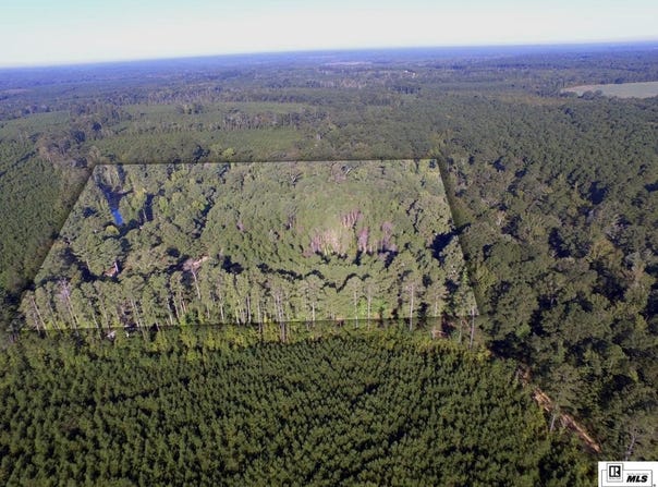 556 MILTON ROAD, Spearsville, LA 71277