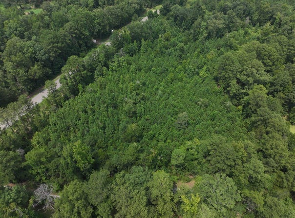 Bear Creek Rd, Sterrett, AL 35147