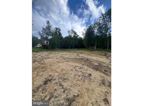 19402 OLD DANS ROCK ROAD, MIDLAND, MD 21542
