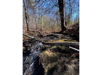 Orb Cordell Rd, Strunk, KY 42649