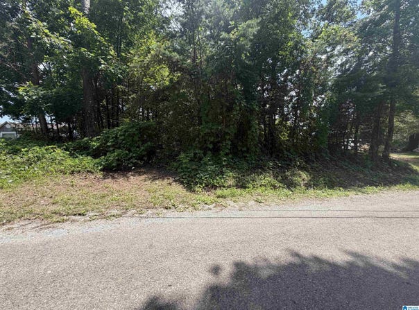 HOLIDAY DRIVE lot: 6, ONEONTA, AL 35121