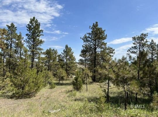 Ridge Dr, Miles City, MT 59301
